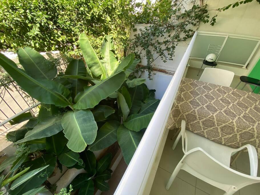 Appartement Orion